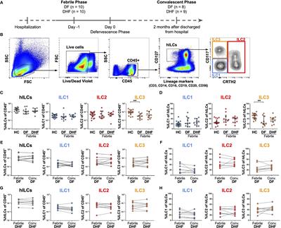 Innate Lymphoid Cells Activation and Transcriptomic Changes in Response to Human Dengue Infection